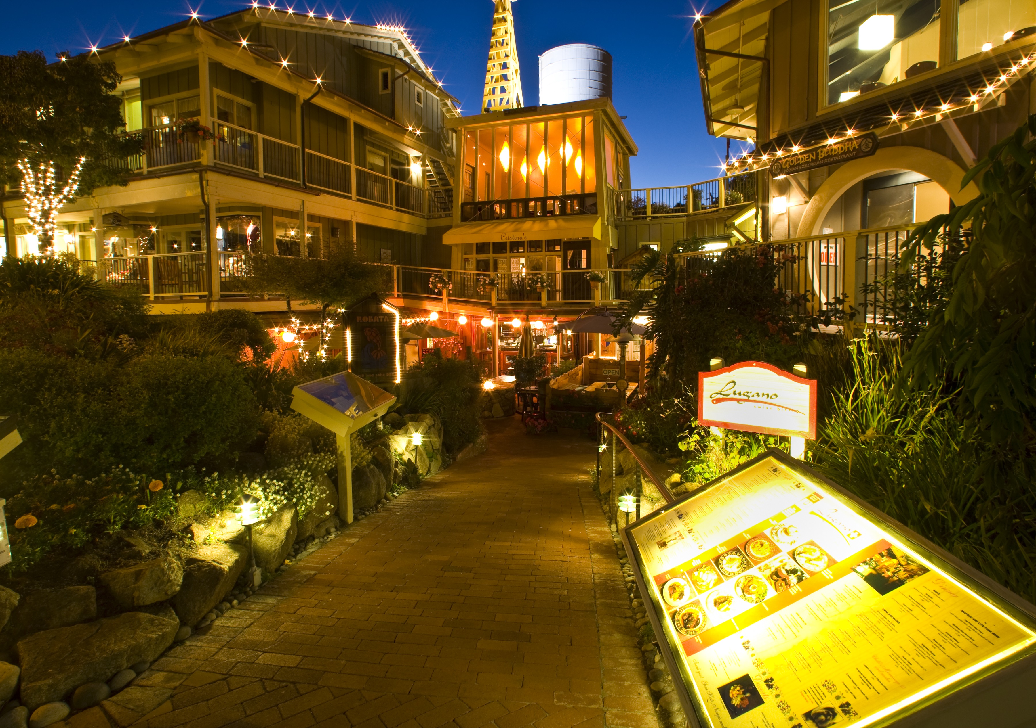 banner-image