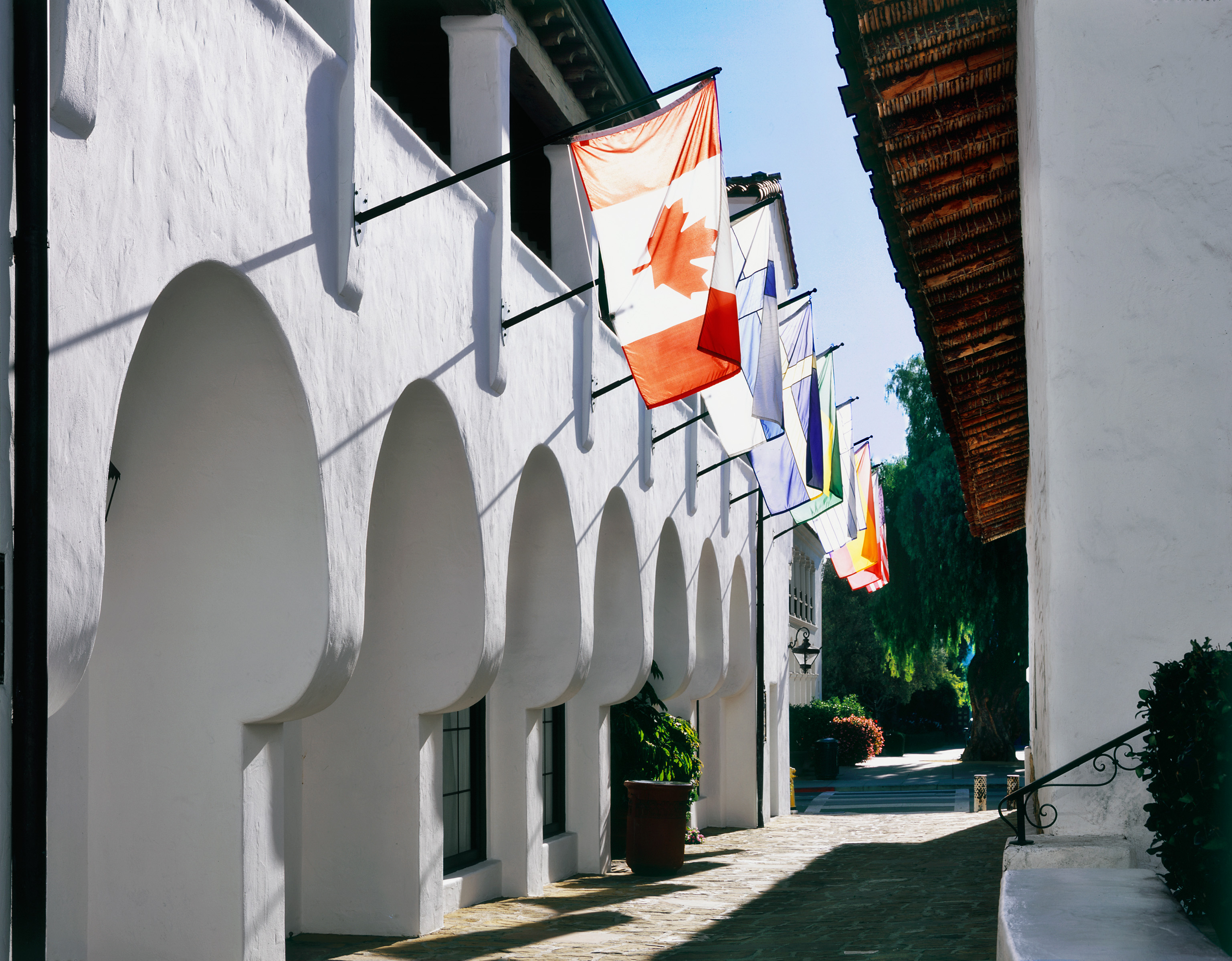 banner-image
