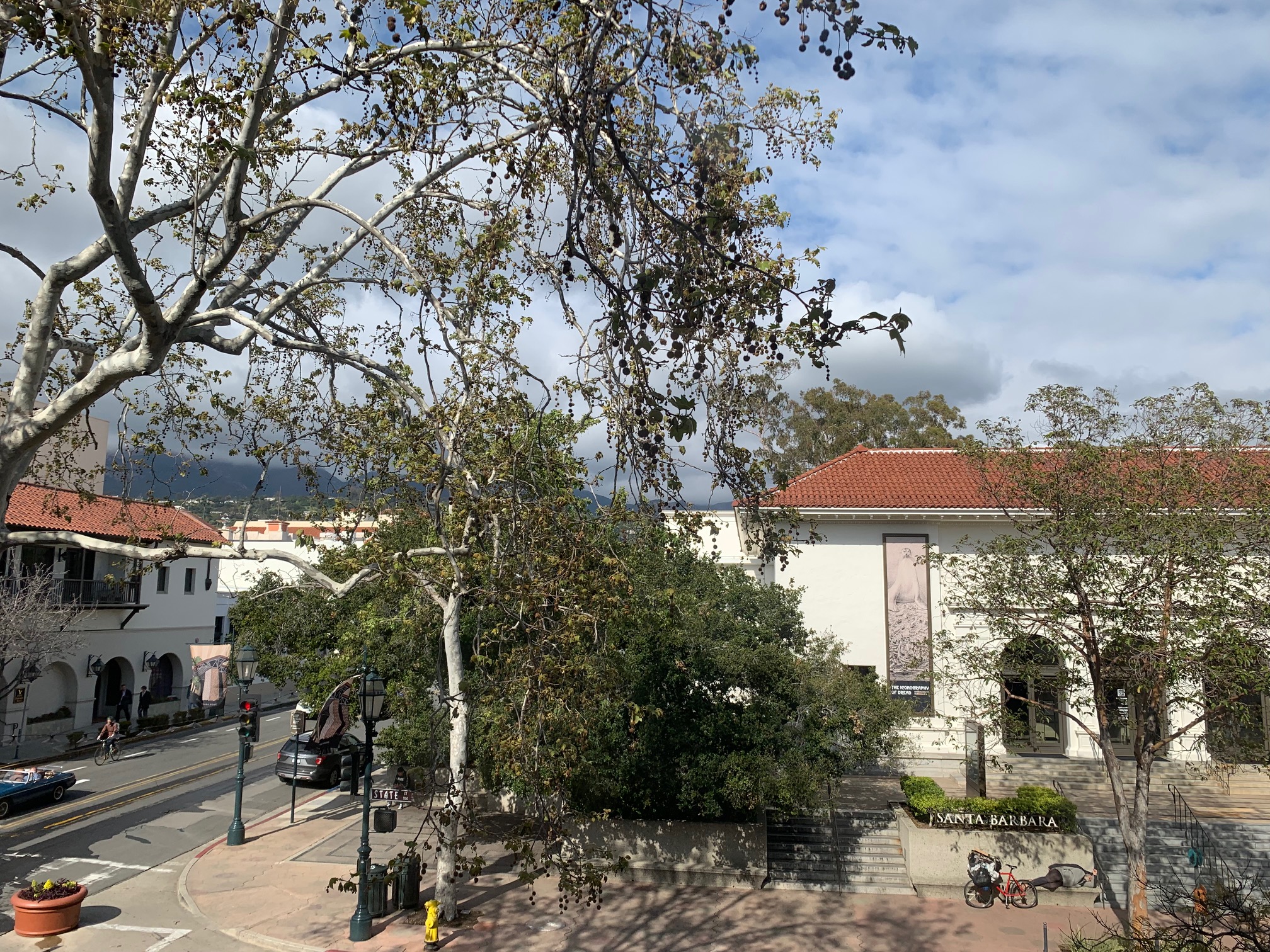 banner-image